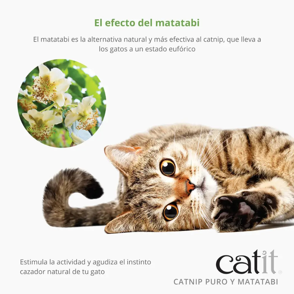 Catit Mezcla de Catnip y Matatabi Secos 28 g CATIT