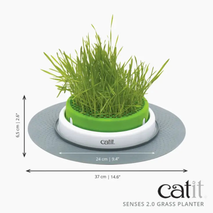 Catit Senses 2.0 Germinador Con Hierba Gatera - Mejor Precio - Mascotas Ávila