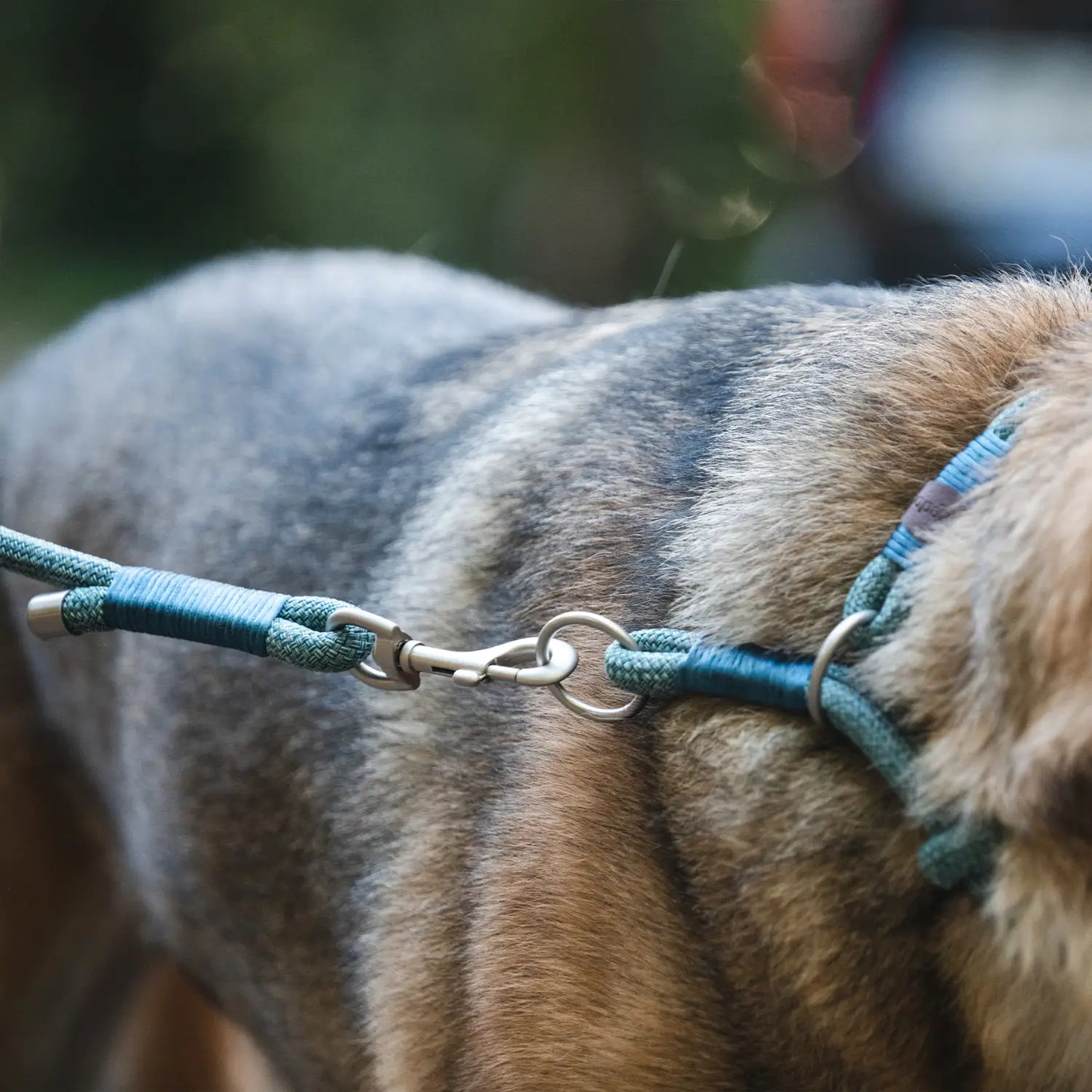 Collar Craft Round Recycled Freedog - Mejor Precio - Mascotas Ávila