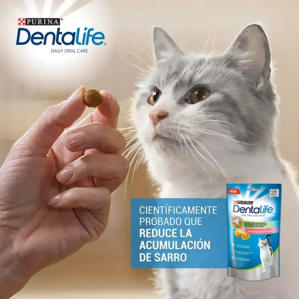 Dentalife Cat Salmón 40 g DENTALIFE