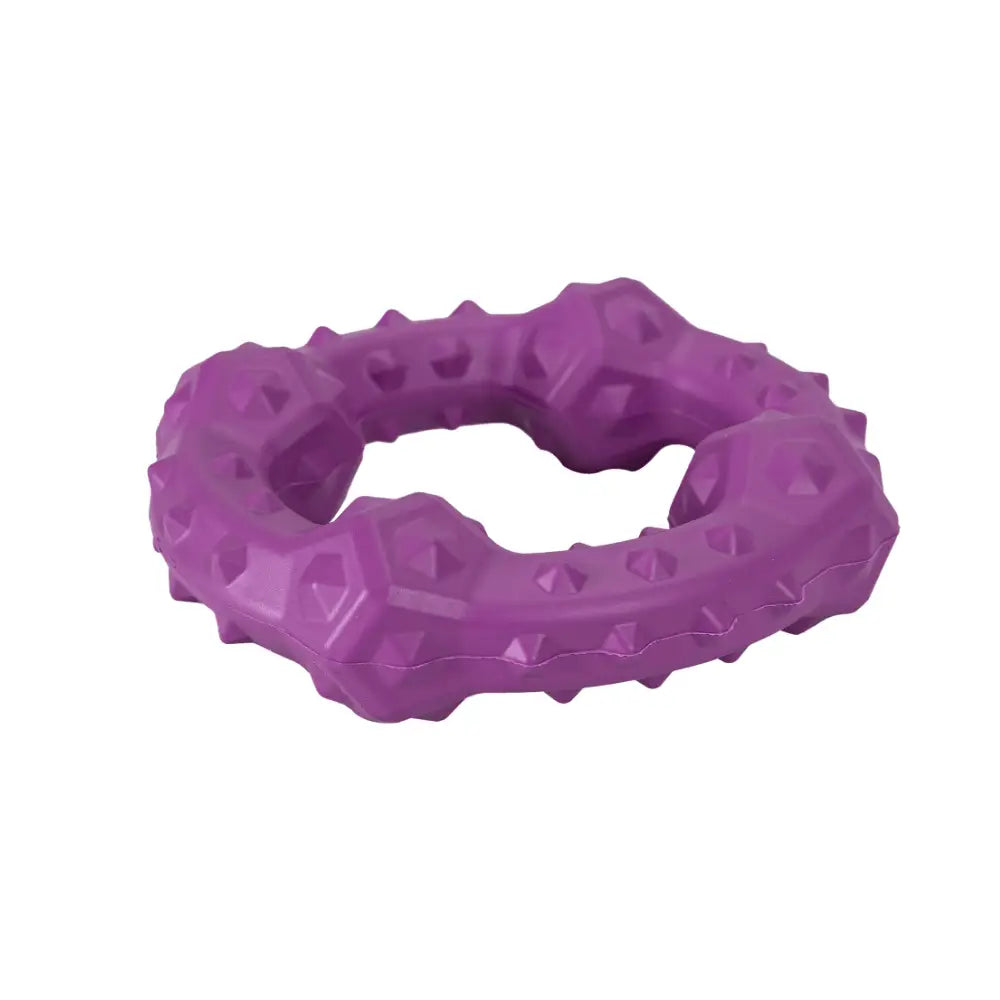 Juguete Perro Goma Roundabout Violeta 11.4x11.4x3.1 cm - Mejor Precio - Mascotas Ávila