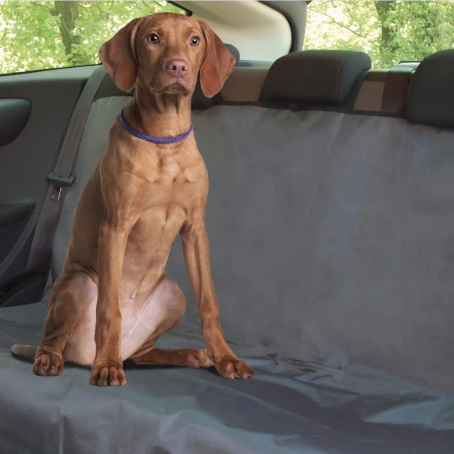 Funda Protectora para Asientos Coche Resistente al Agua 130x110cm - Cubrefundas para Perros al mejor precio online