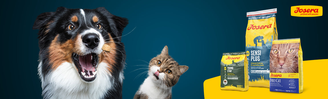 Banner promocional Josera Mini Cordero Pienso Sin Cereales para Perros