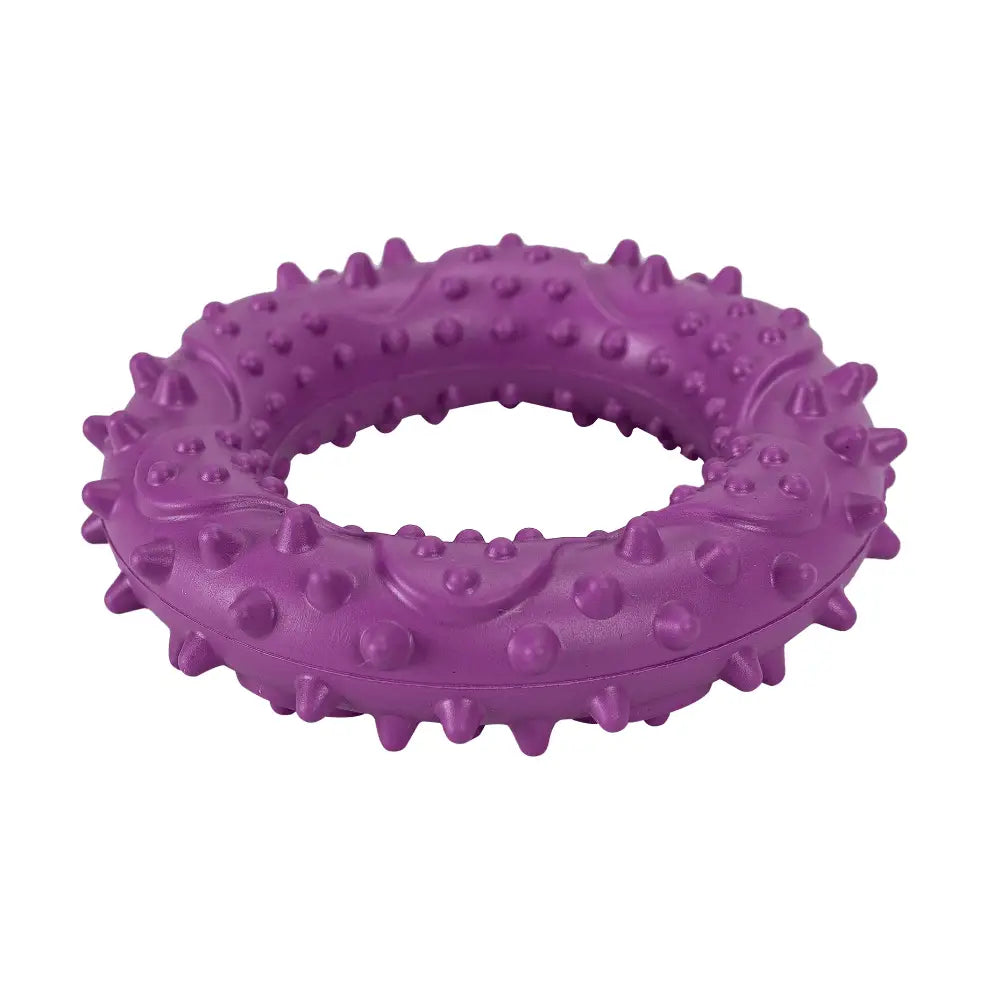 Juguete Perro Goma Hoop Violeta 9,2x9,2x2,4 cm - Mejor Precio - Mascotas Ávila
