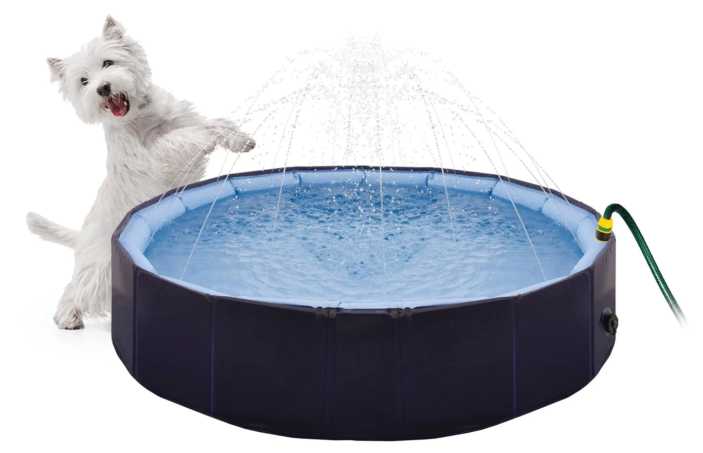 Piscina Para Perros Splash 2 En 1 80Cm - Mejor Precio - Mascotas Ávila