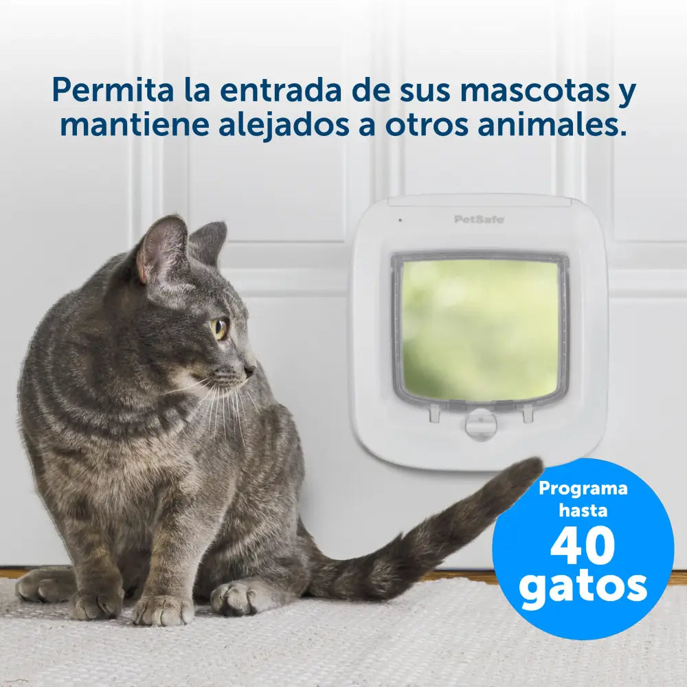 Petsafe Puerta con Microchip 22X23,9 cm PETSAFE