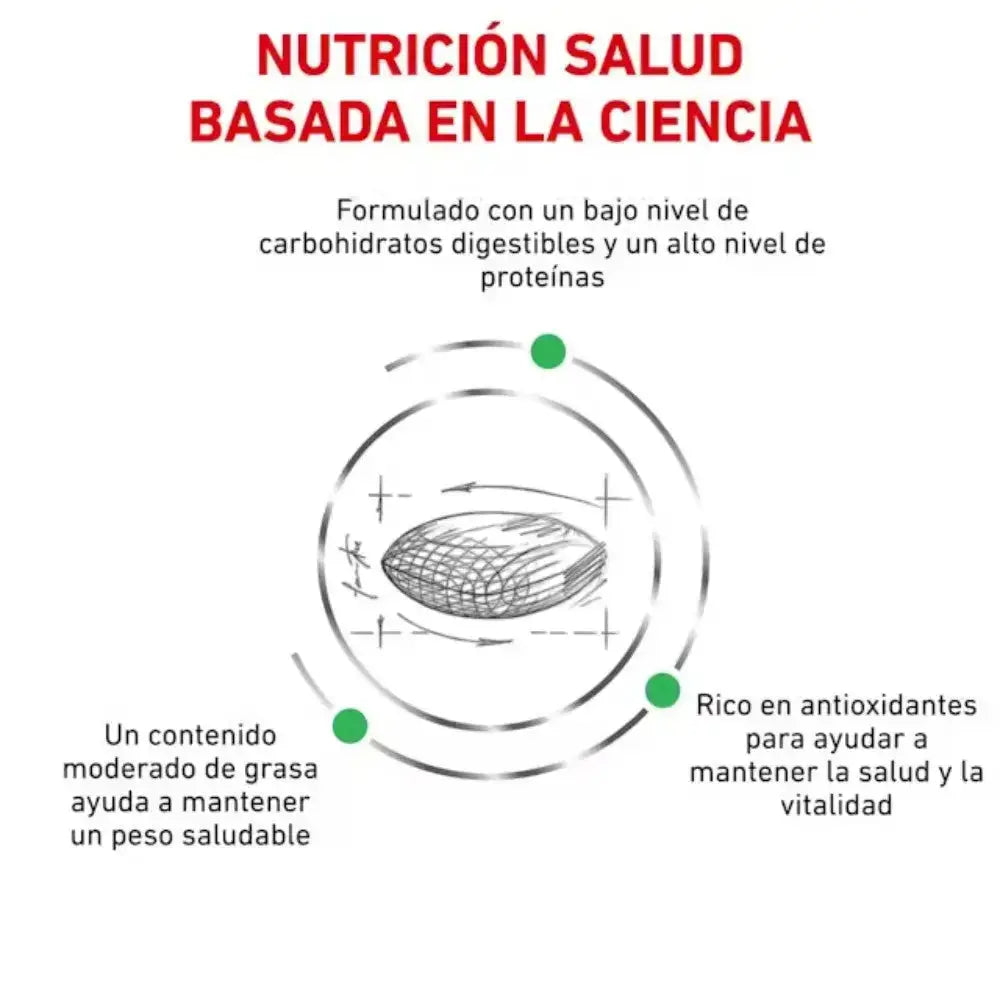 Royal Canin Veterinary Diabetic 1,5 kg Pienso para Perros Diabéticos ROYAL CANIN VET