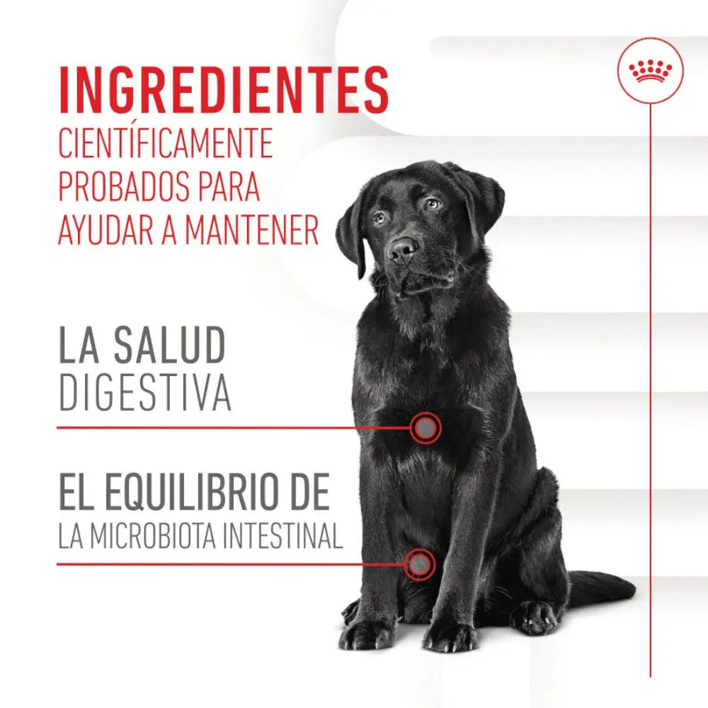 Royal Canin Digestive Support Chews 160 g Suplemento para Perros Adultos ROYAL CANIN