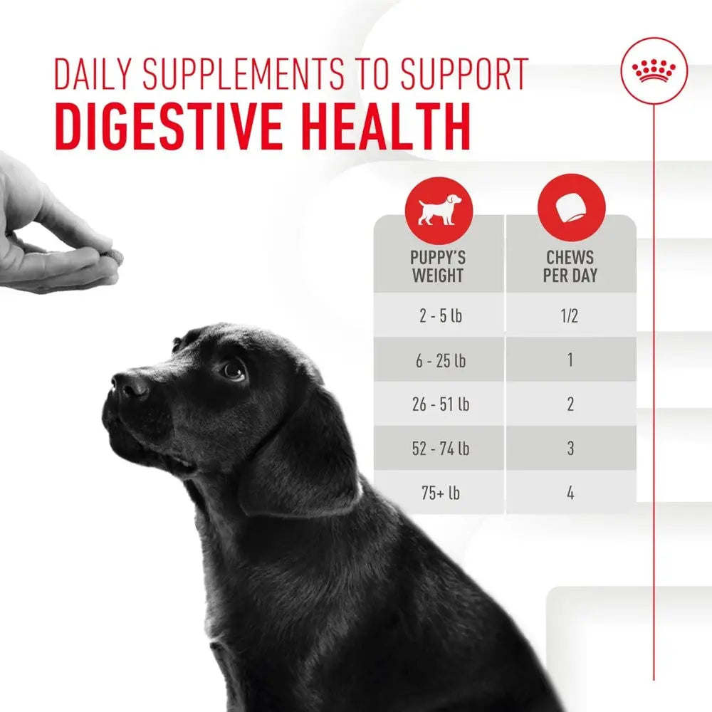 Royal Canin Immune & Digestion Support Chews Puppy 100 g Snack para Cachorros ROYAL CANIN