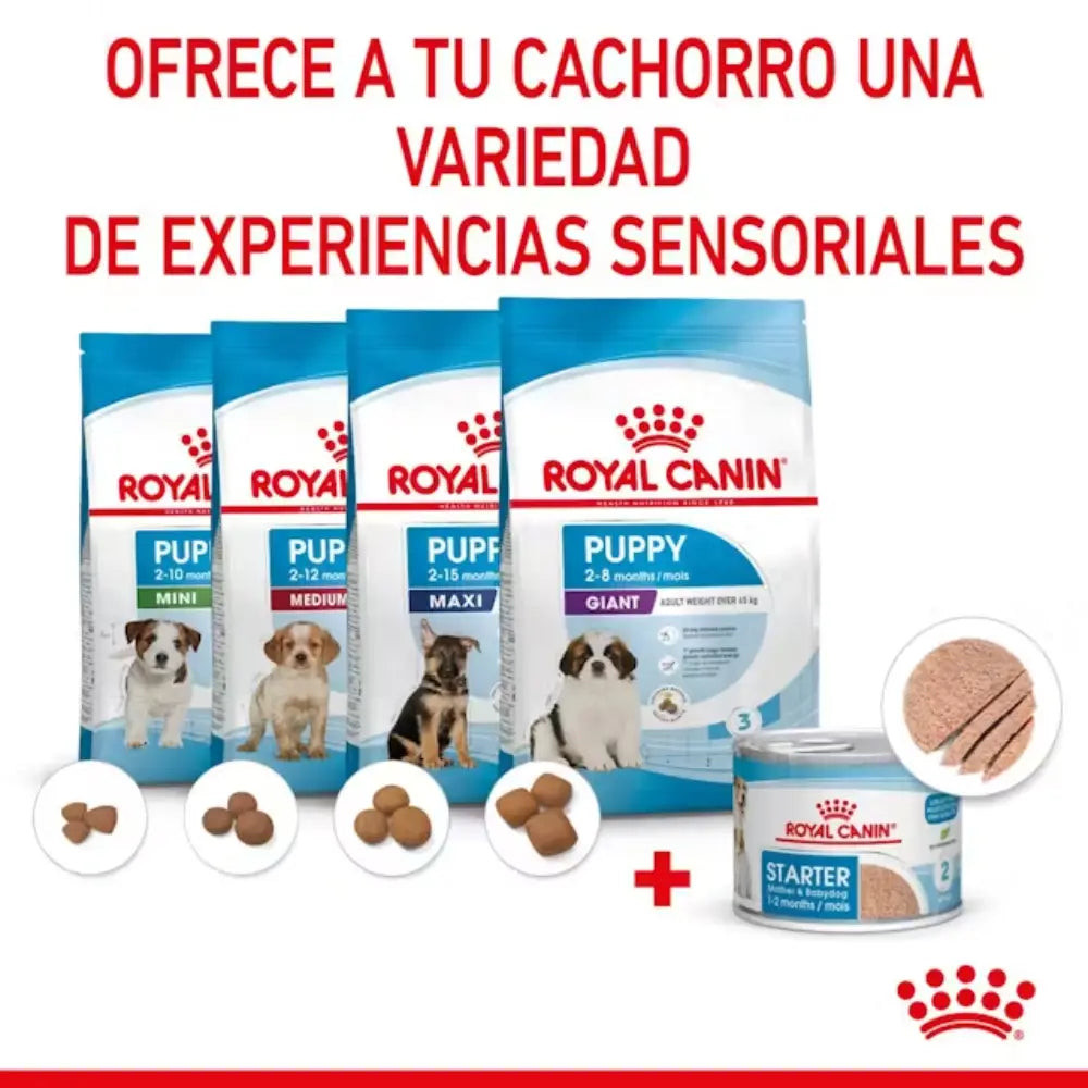 Royal Canin Starter Mousse Lata 195 g húmedo ROYAL CANIN