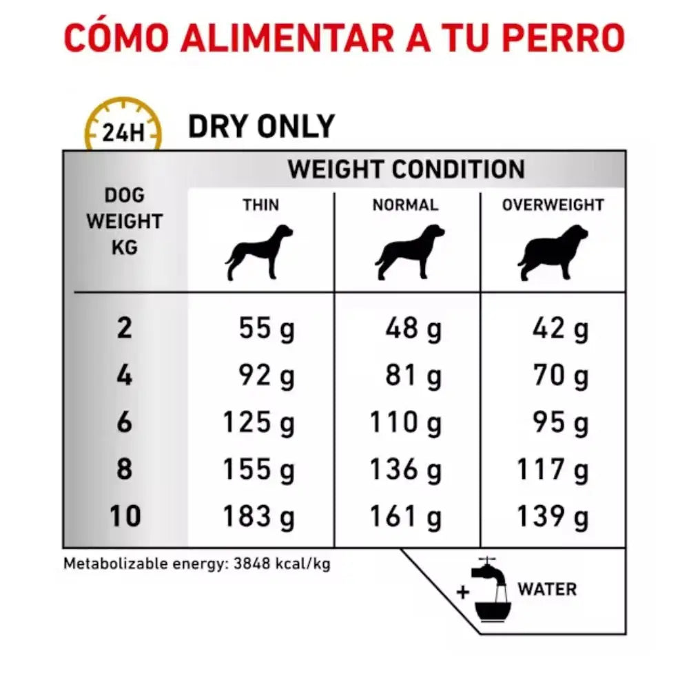 Royal Canin Urinary Small S/O 1.5 kg Pienso Urinario para Perros ROYAL CANIN VET