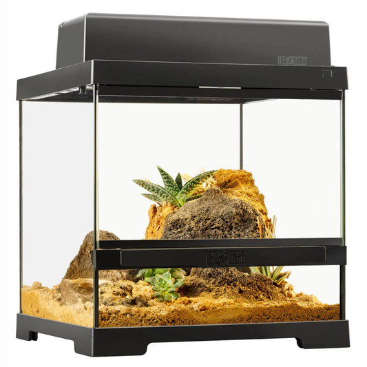 Terrario Mini Exo Terra