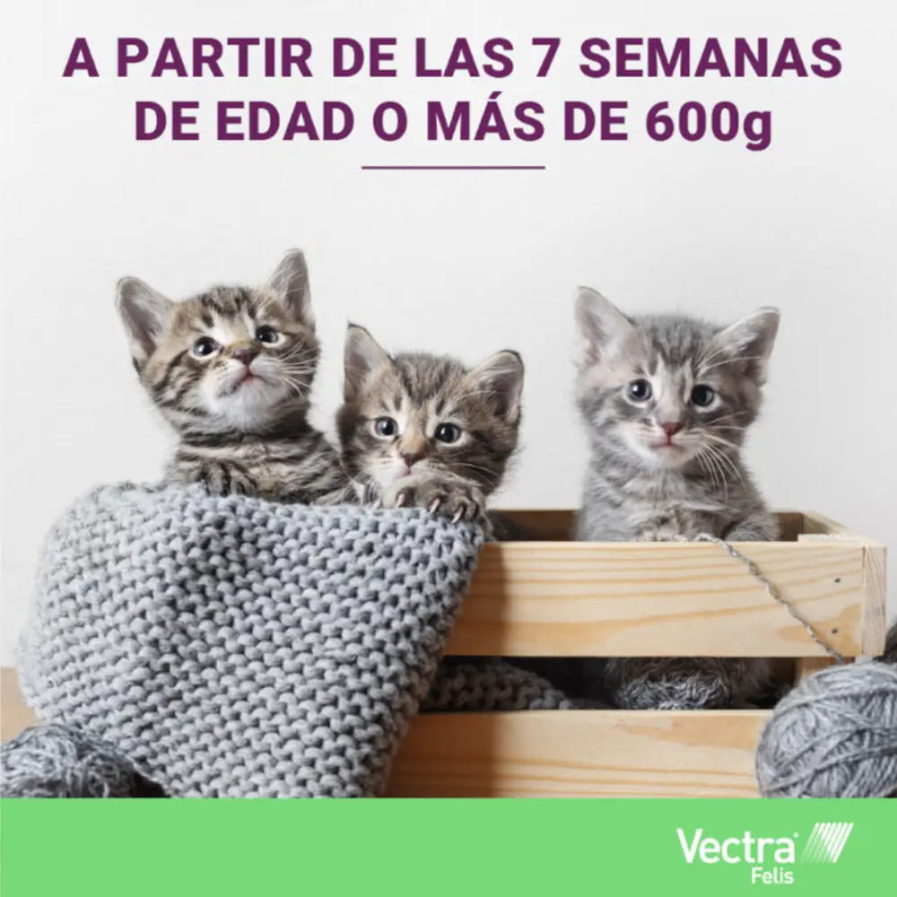 Vectra Gato 0,6-10 kg 3 Pipetas Antiparasitarias para Gatos CEVA