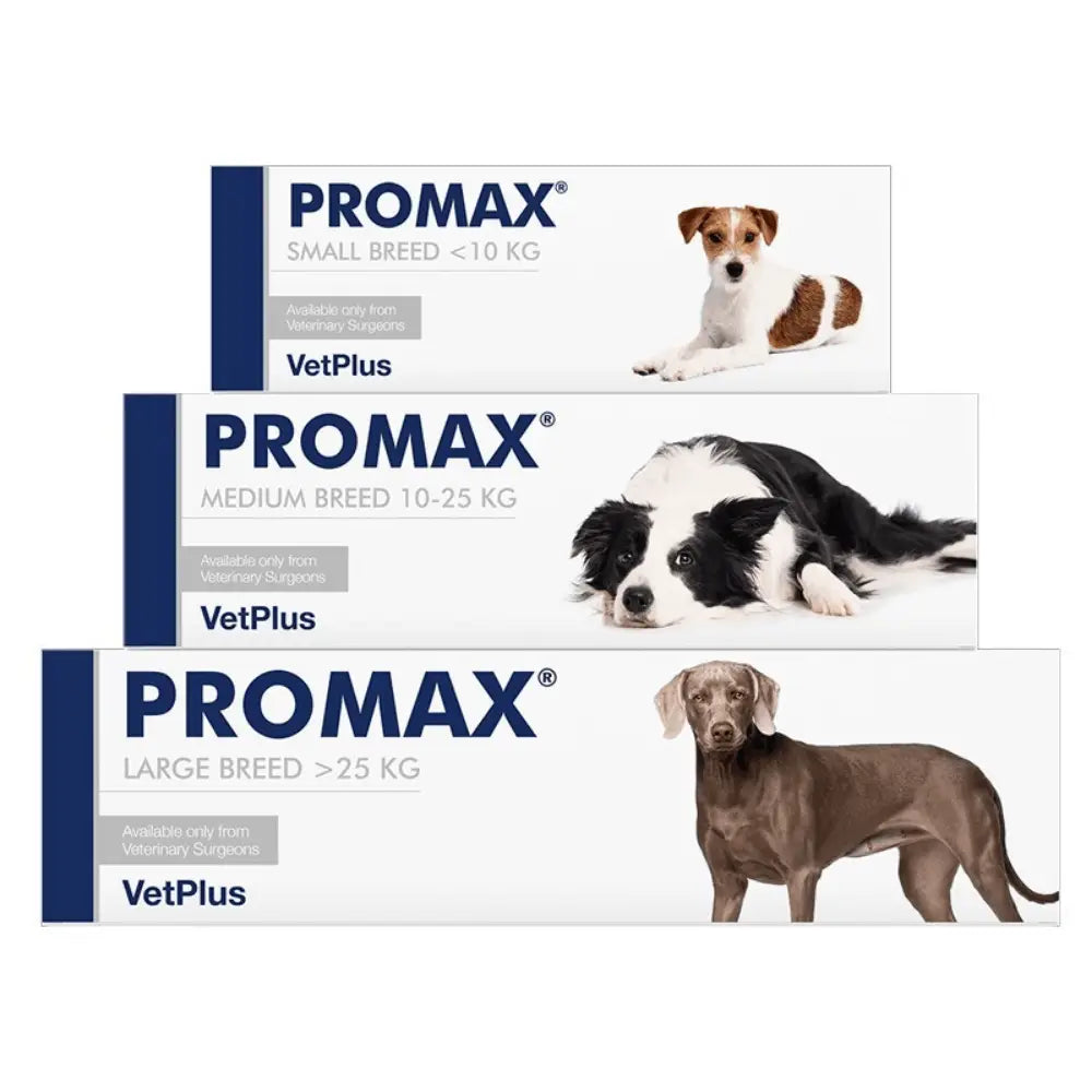 VetPlus Promax Complemento Antidiarréico para Perros VETPLUS