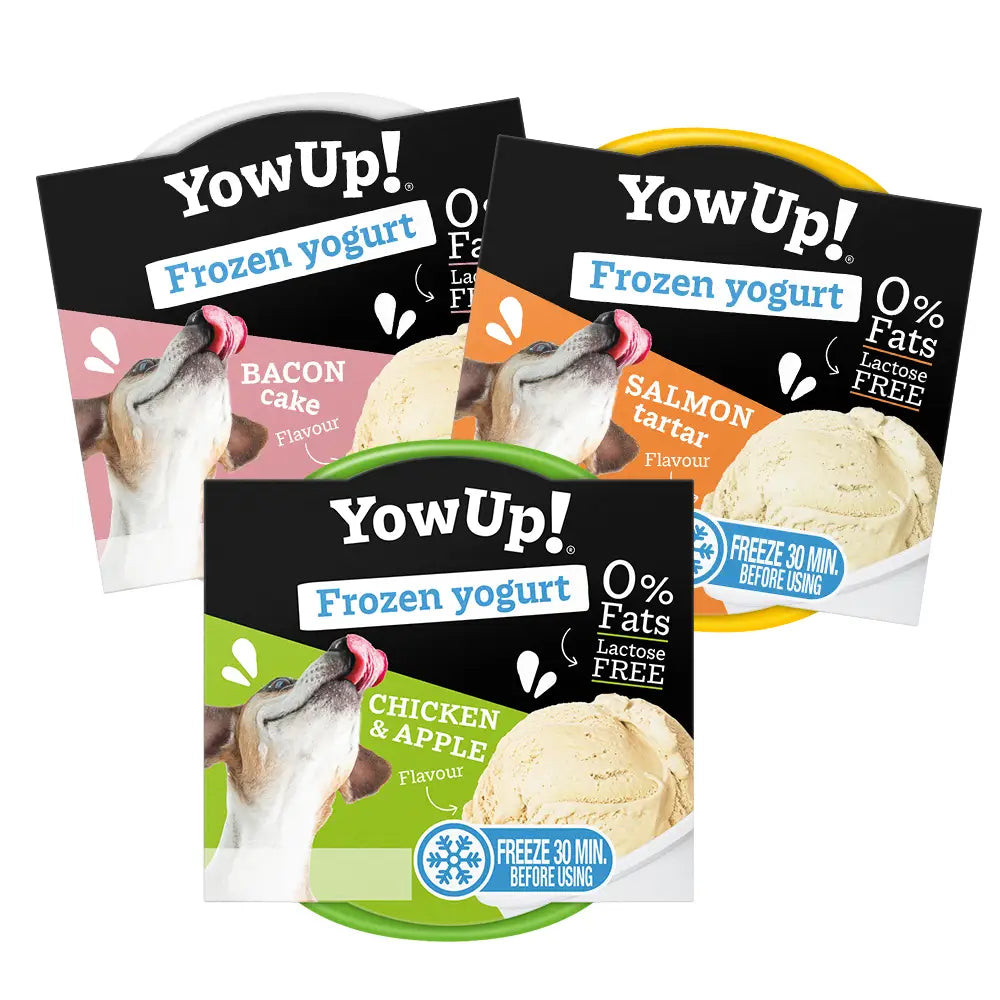 Yowup Helado Yogurt Tartar Salmón 110 g YOWUP