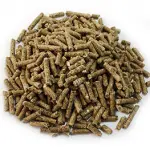 Caballos Premium Winner 25 kg