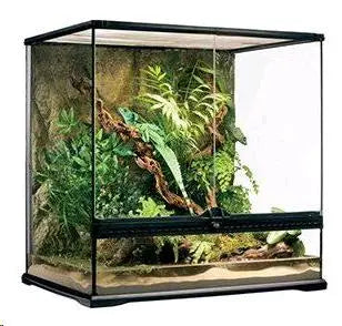 Terrario Exo Terra Mediano Natural