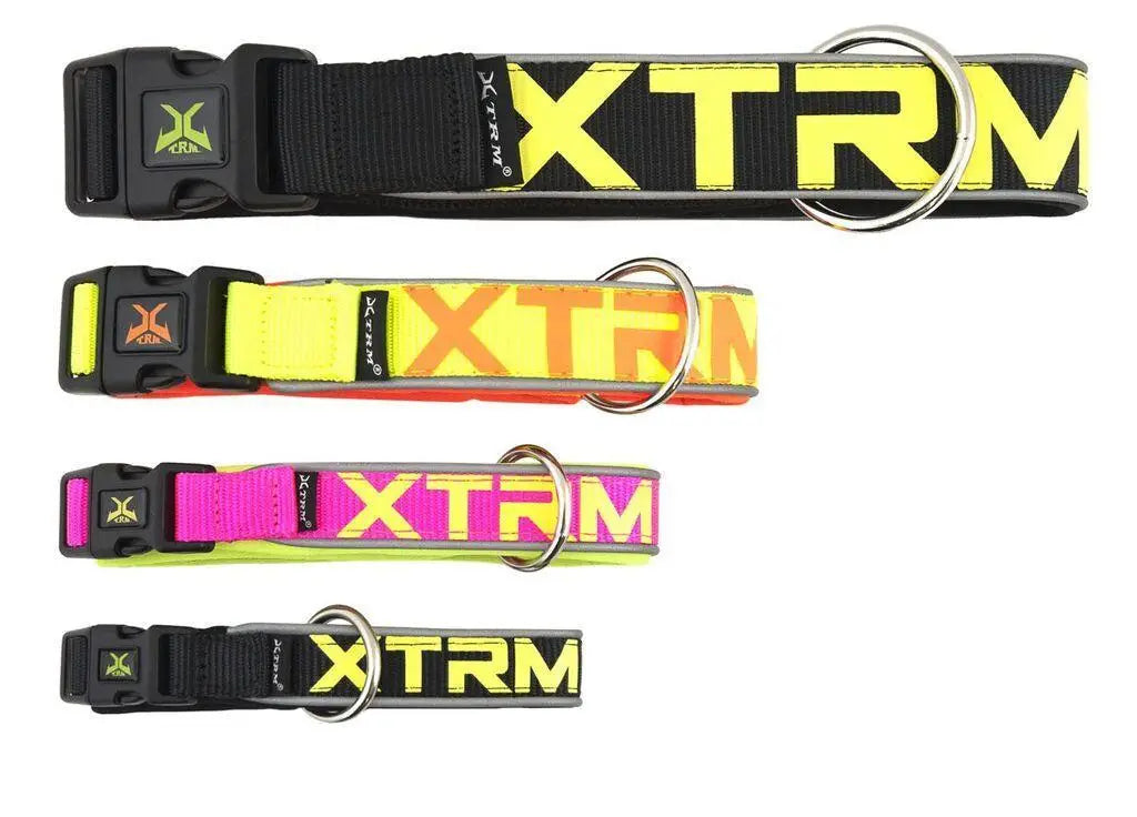 COLLAR X-TRM NEON FLASH AZUL 38mm x 50-70cm