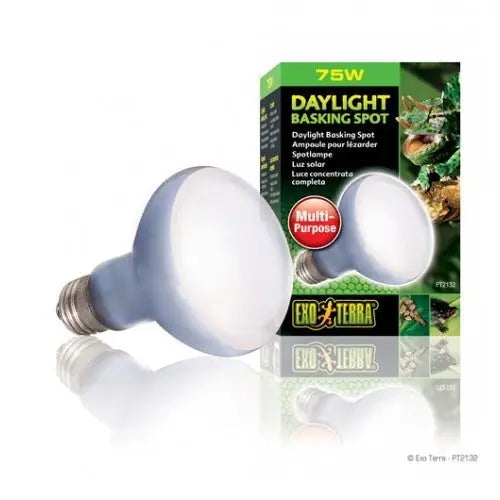 EXO TERRA SUN GLO LµMPARA FOCAL 75 W