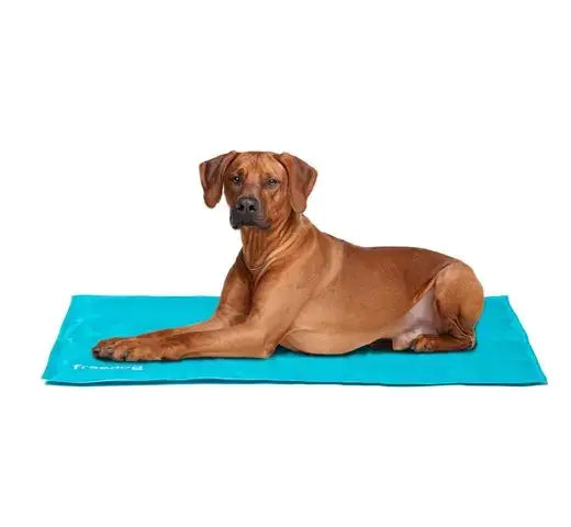 COLCHONETA REFRIGERANTE AZUL 70X110CM