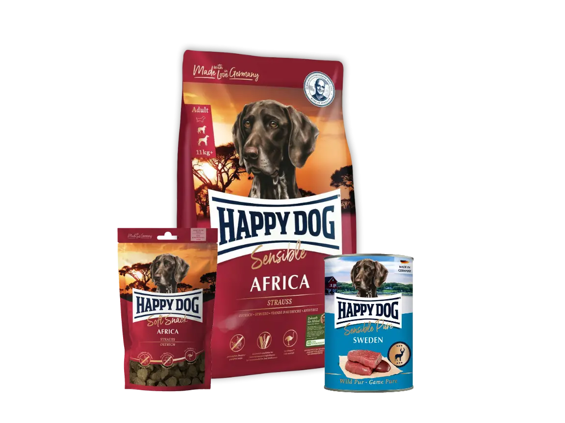 Happy Dog Sensible Africa