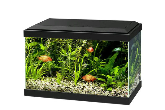 Acuario Aqua 20 Light Ciano