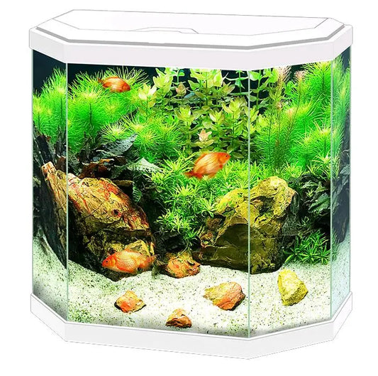 Acuario Aqua 30 Light Ciano