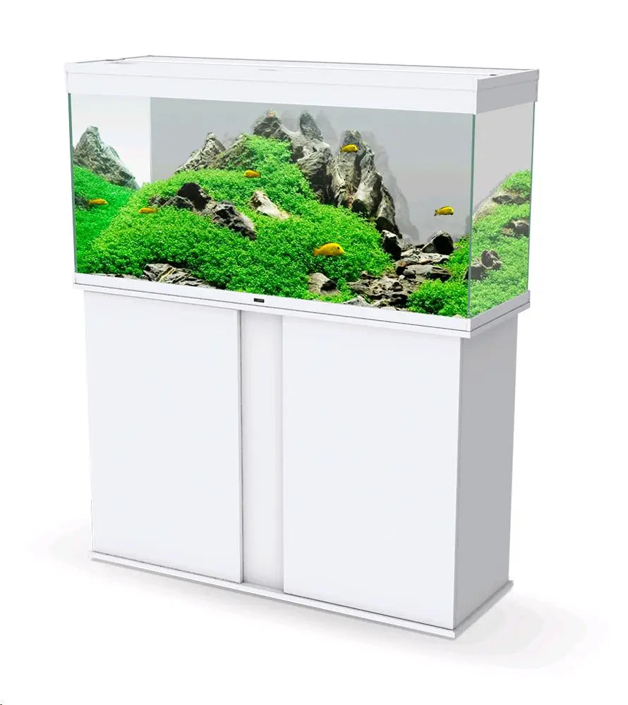 ACUARIO EMOTIONS