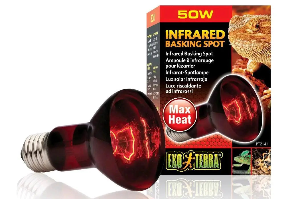 FOCO LUZ INFRAROJO REPTILES EXO TERRA