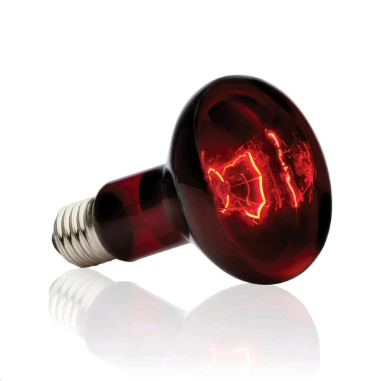 Foco Luz Infrarojo Reptiles Exo Terra