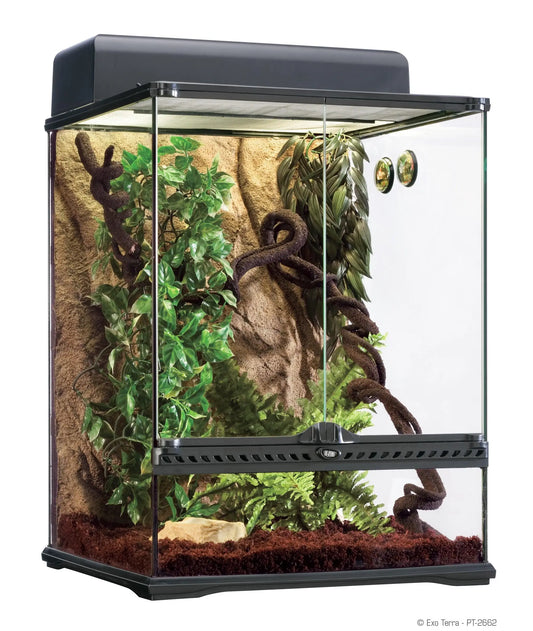 Habitat Kit Tropical Exo Terra