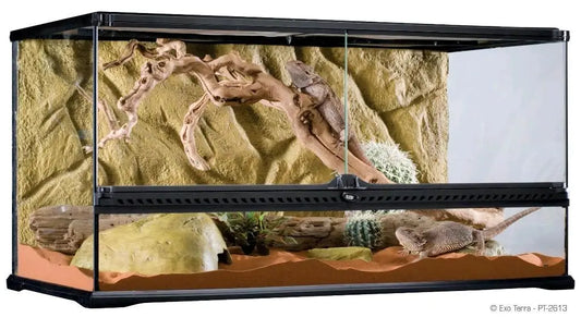 Terrario Grande Exo Terra
