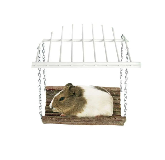 Karlie Balancin Roedores