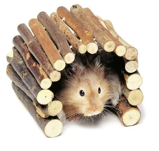 Flamingo Puente Palos de Madera para Roedores