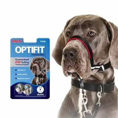 Halti Collar Adiestramiento