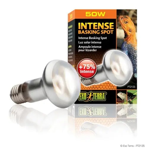 EXO TERRA SUN GLO FOCO DIRECTO 50 W
