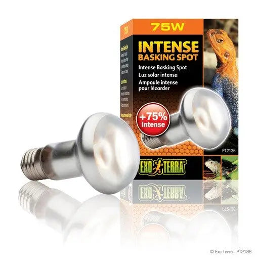 EXO TERRA SUN GLO FOCO DIRECTO 75 W