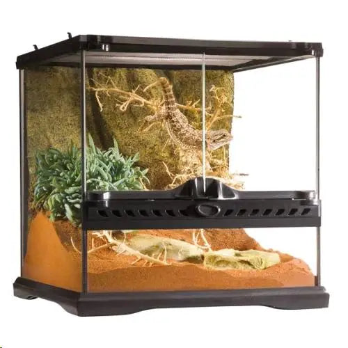 Terrario Pequeño Exo Terra