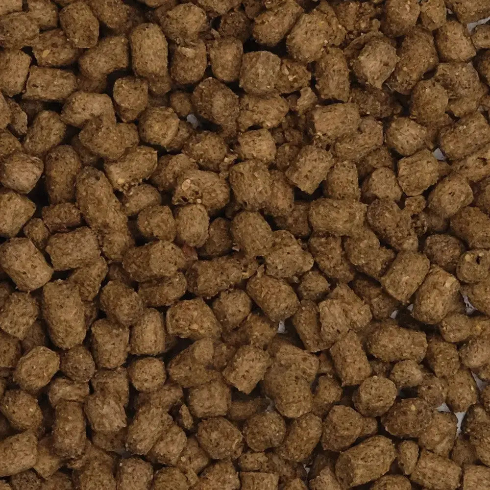 Fluval Bug Bites Cíclidos Gránulos 100 g 5-7Mm FLUVAL Mascotas-Ávila