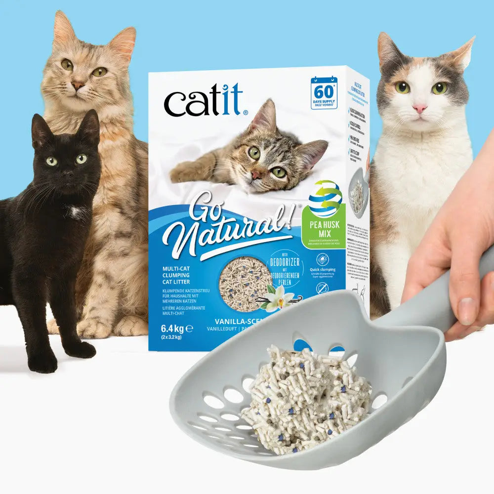 CATIT GO ARENA NATURAL BENTO GUISANTE VAINILLA 6,4KG - Mejor Precio - Mascotas Ávila