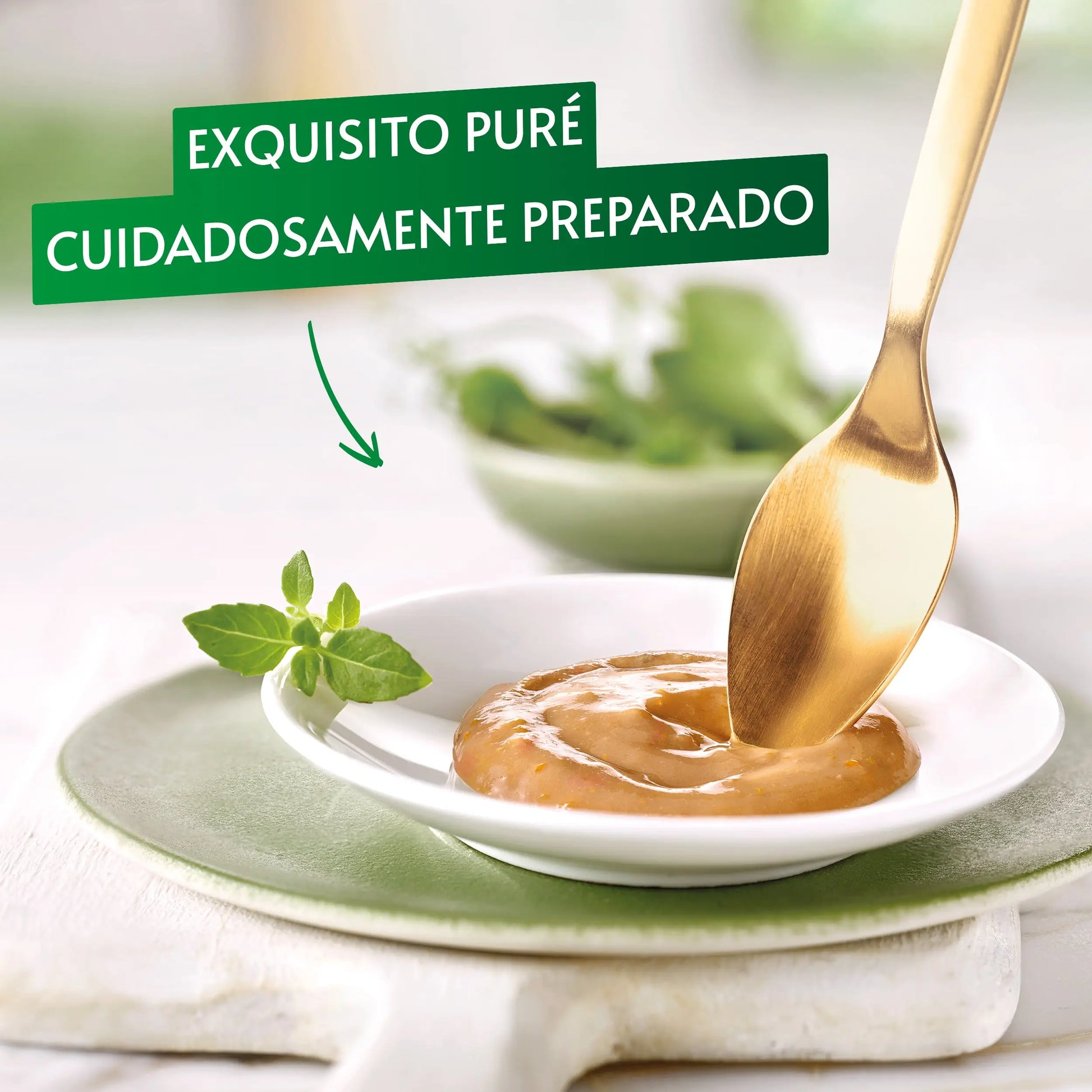 Gourmet Nature'S Creations Pure Buey y Tomate 5x10 g PURINA