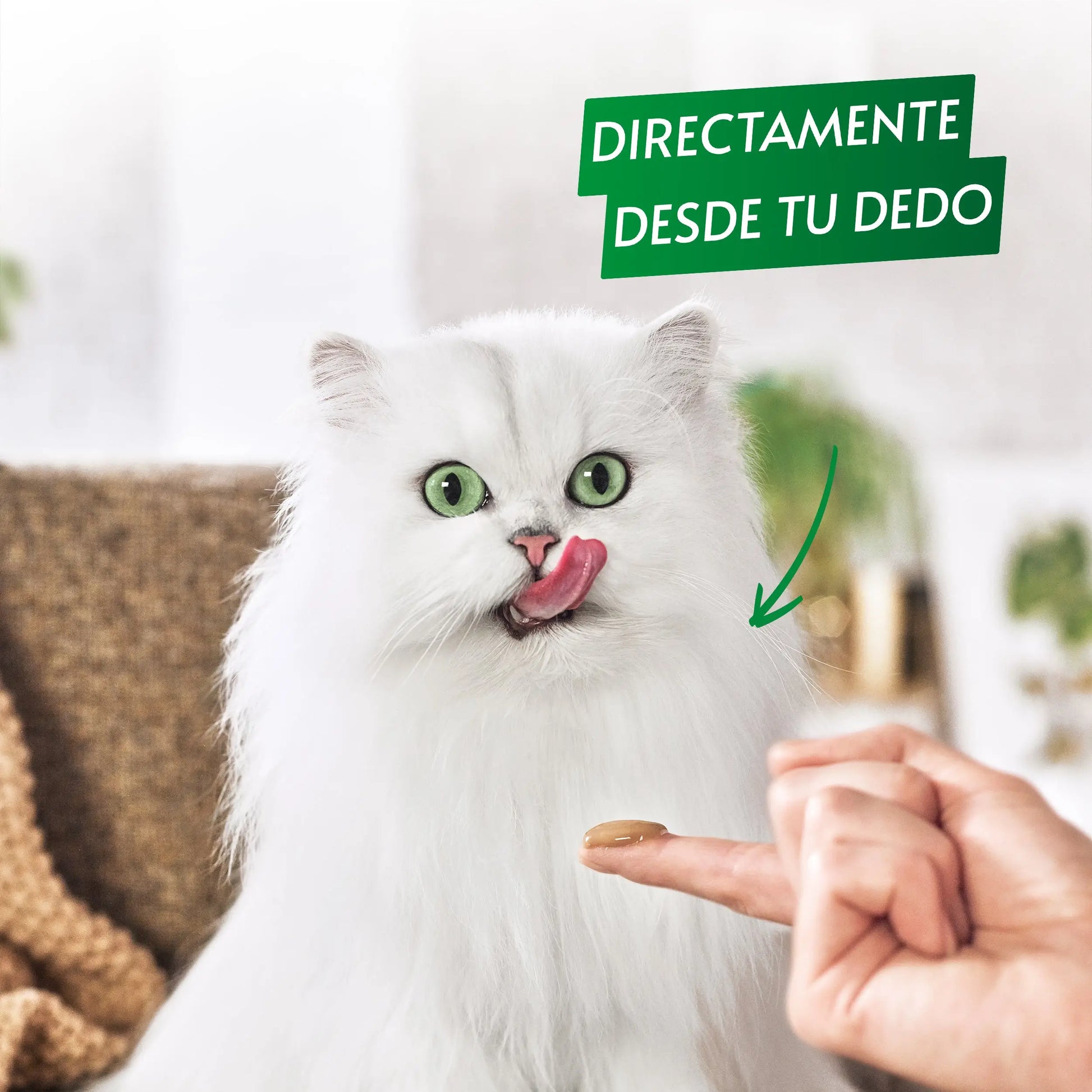 Gourmet Nature'S Creations Pure Buey y Tomate 5x10 g PURINA