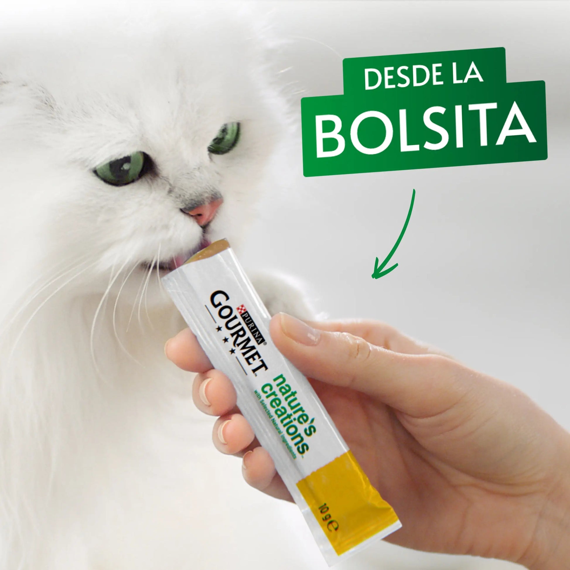 Gourmet Nature'S Creations Pure Salmón y Zanahoria 5x10 g PURINA