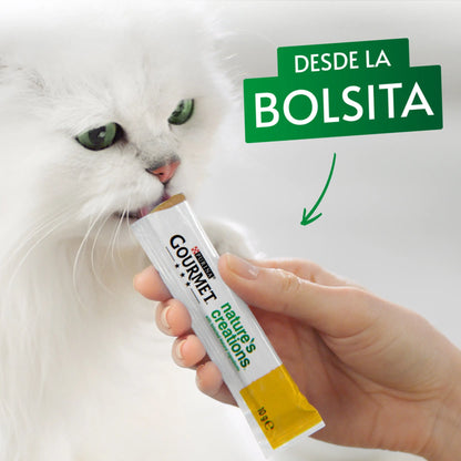 Gourmet Nature'S Creations Pure Salmón y Zanahoria 5x10 g PURINA