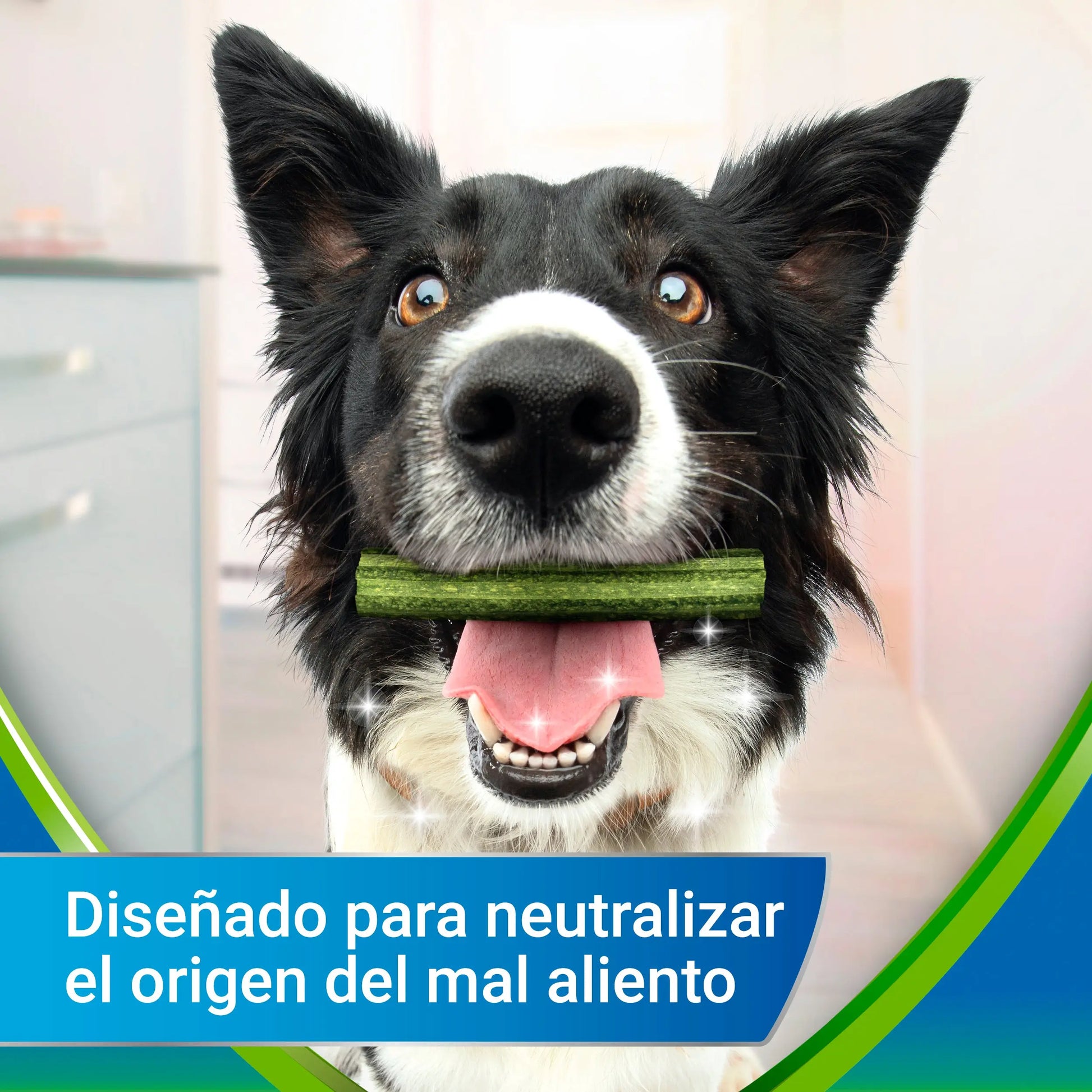 Dentalife Activfresh Dog Small 7 Sticks DENTALIFE