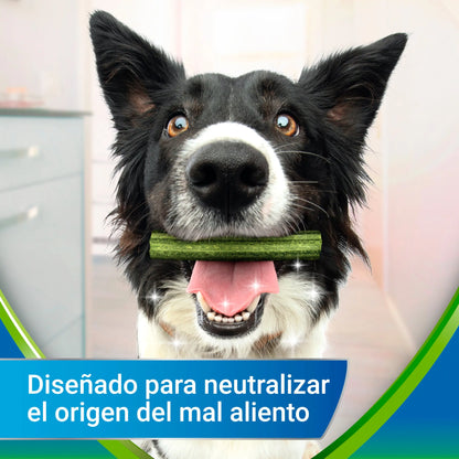 Dentalife Activfresh Dog Small 7 Sticks DENTALIFE