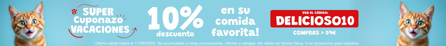 Banner 2