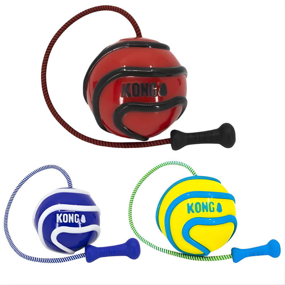 Kong Juguete Perro Wavz Bunjiball M