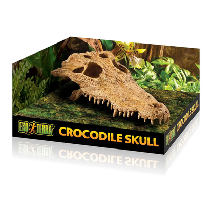 Decoracion Terrarios Exo Terra Cocodrile Skull EXOTERRA Mascotas-Ávila
