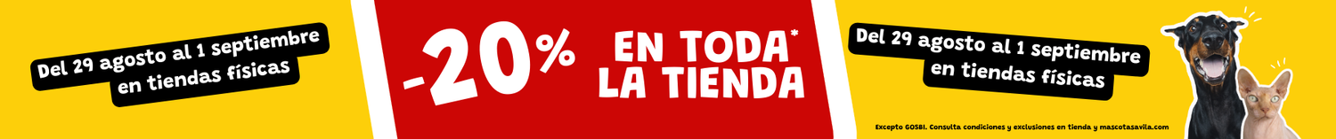 Banner 5